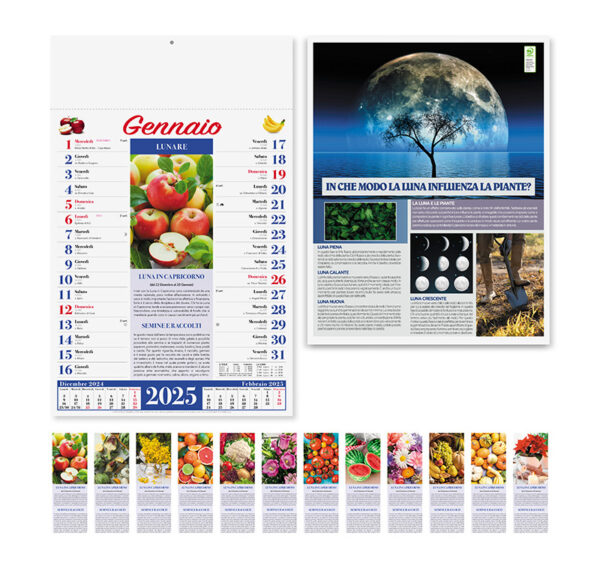 Calendari Illustrati ORTO E GIARDINO